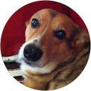 Penny Vitacco profile picture